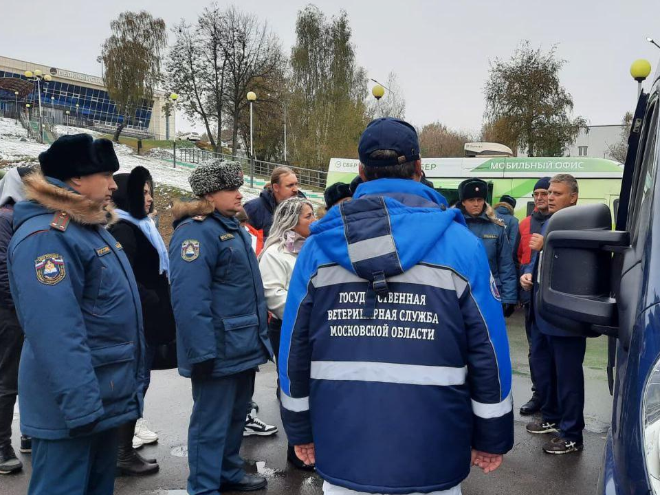 Фото: Министерство сельского хозяйства и продовольствия Московской области