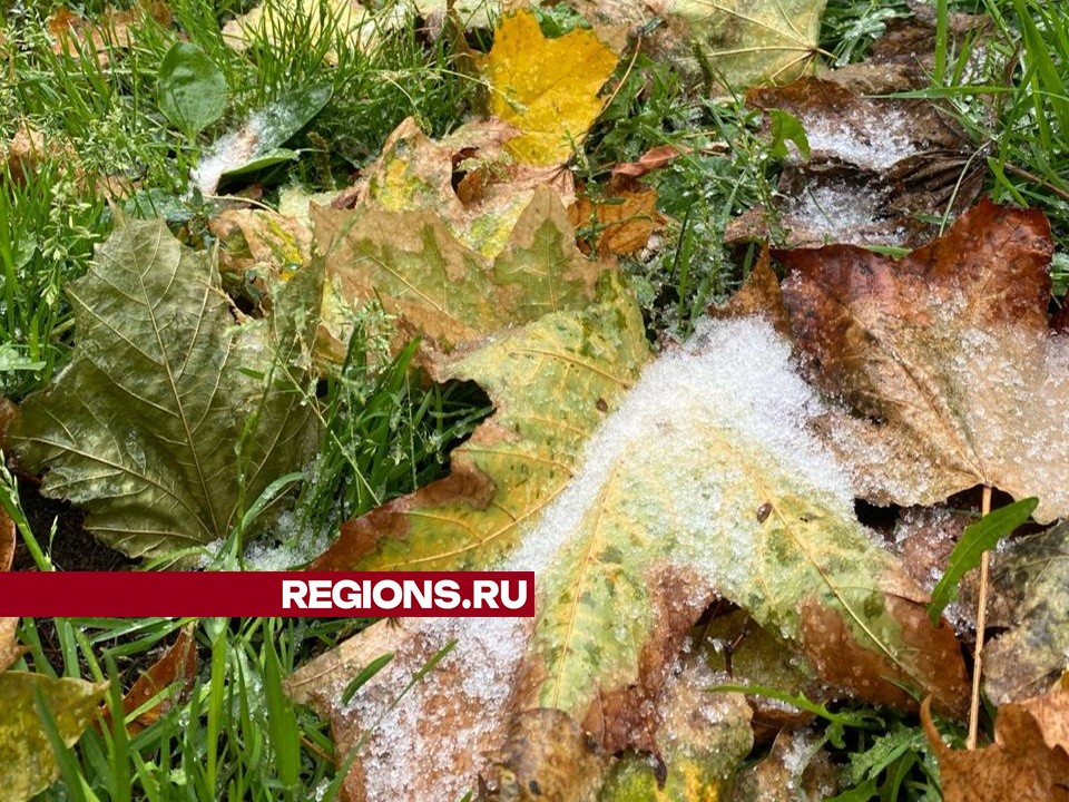 Фото: REGIONS/Ксения Верченко