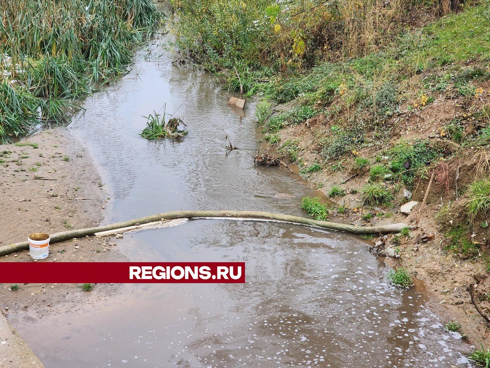 Фото: Никита Сморкалов