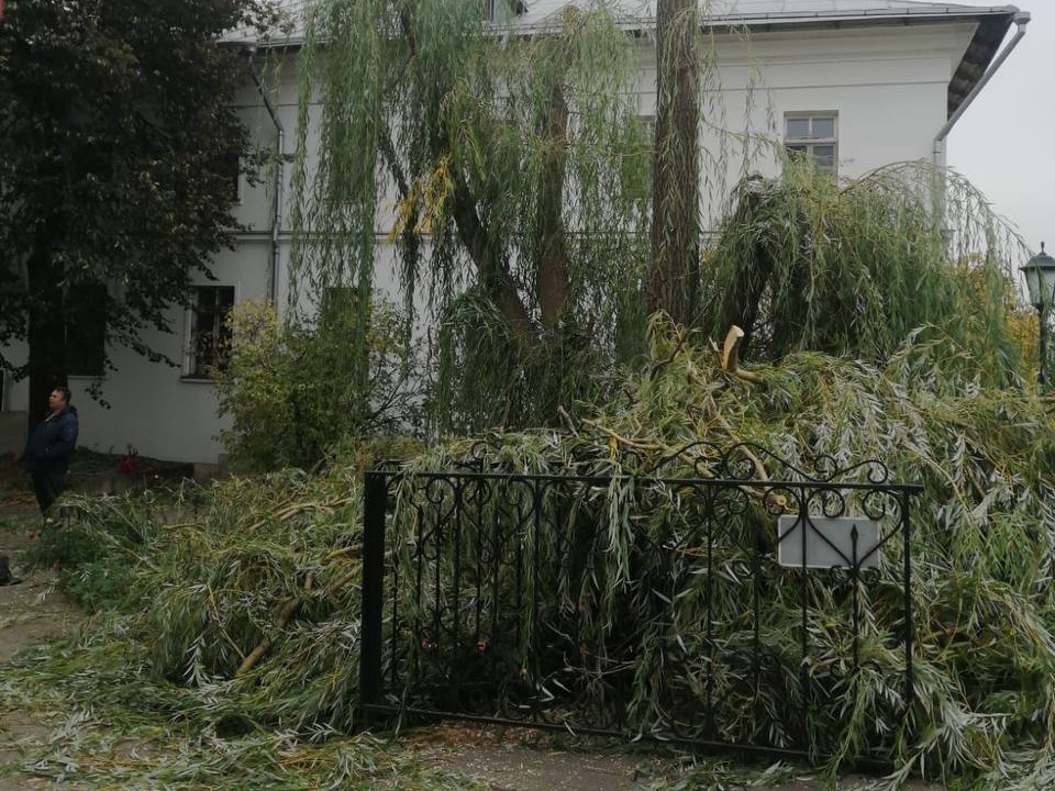 Фото: t.me/Inokini