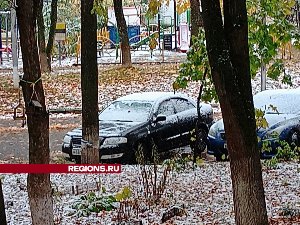 Фото: Елена Григорьева