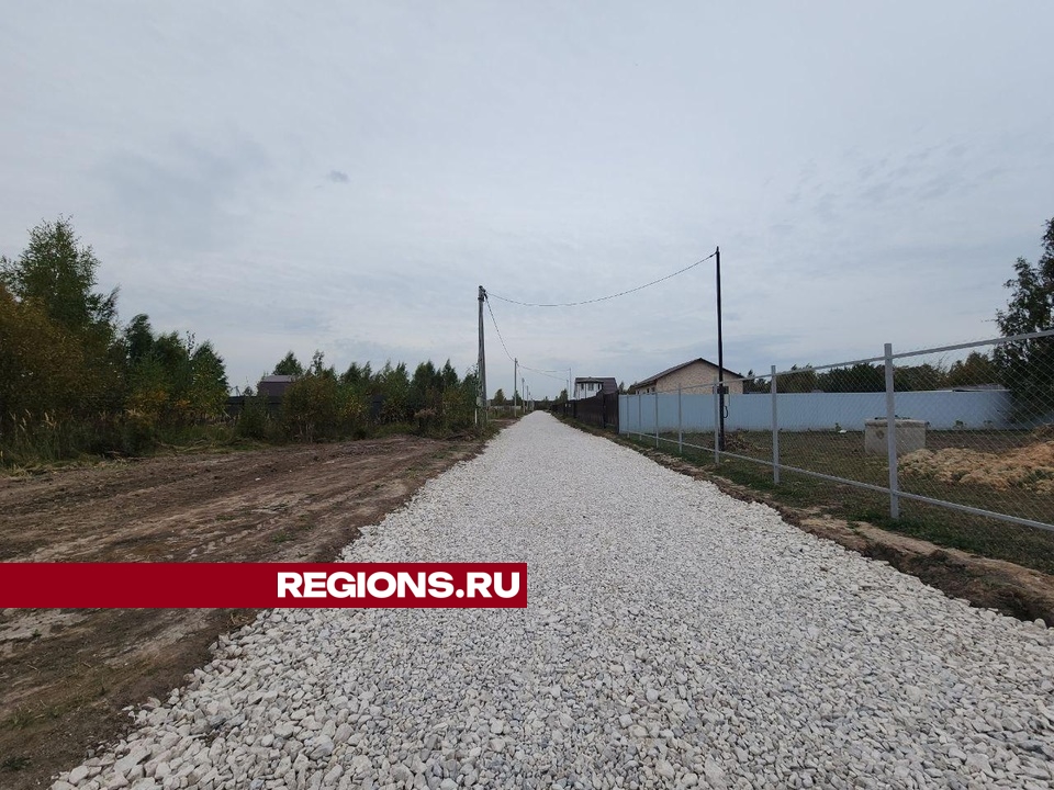 Фото: Мария Панина