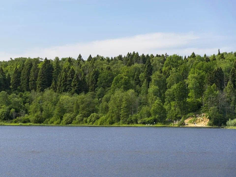 Фото: пресс-служба администрации г.о. Красногорск