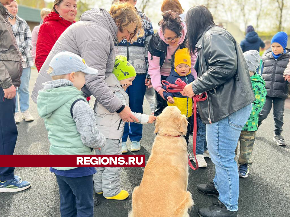 Фото: Ольга Шеметова