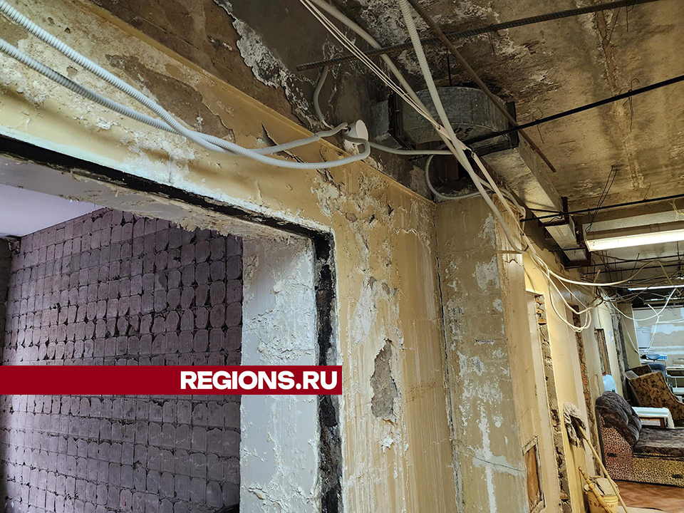 Фото: Екатерина Мелкозерова