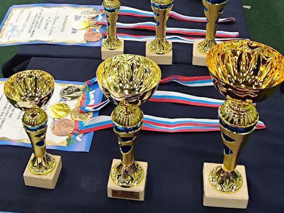 Фото: спортивная школа олимпийского резерва «Динамо-Дмитров»