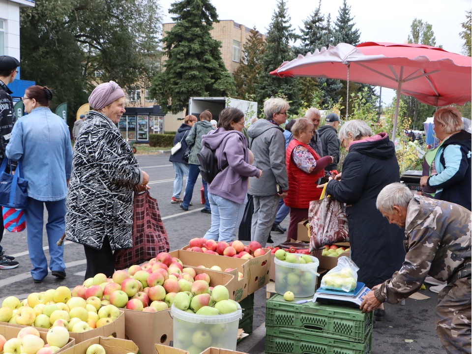 Фото: МедиаБанк Подмосковья/Ирина Матвеева