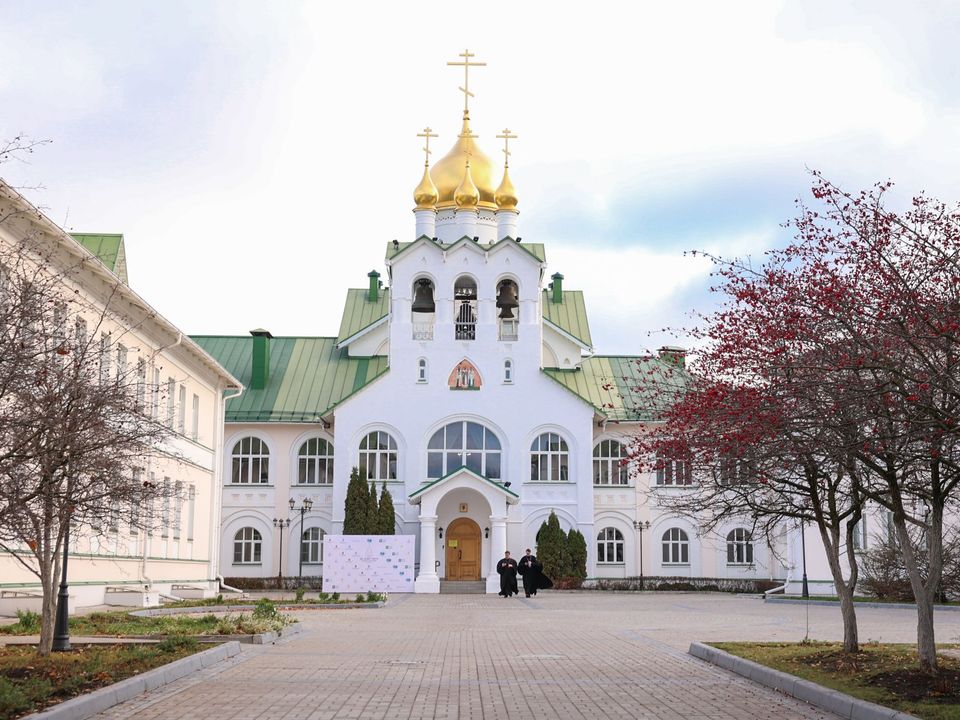 Фото: пресс-служба Губернатора и Правительства Московской области/Екатерина Агеева