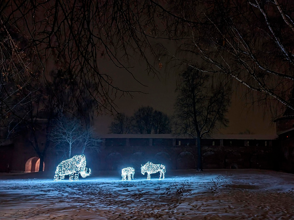 Фото: ГМЗ «Зарайский кремль»