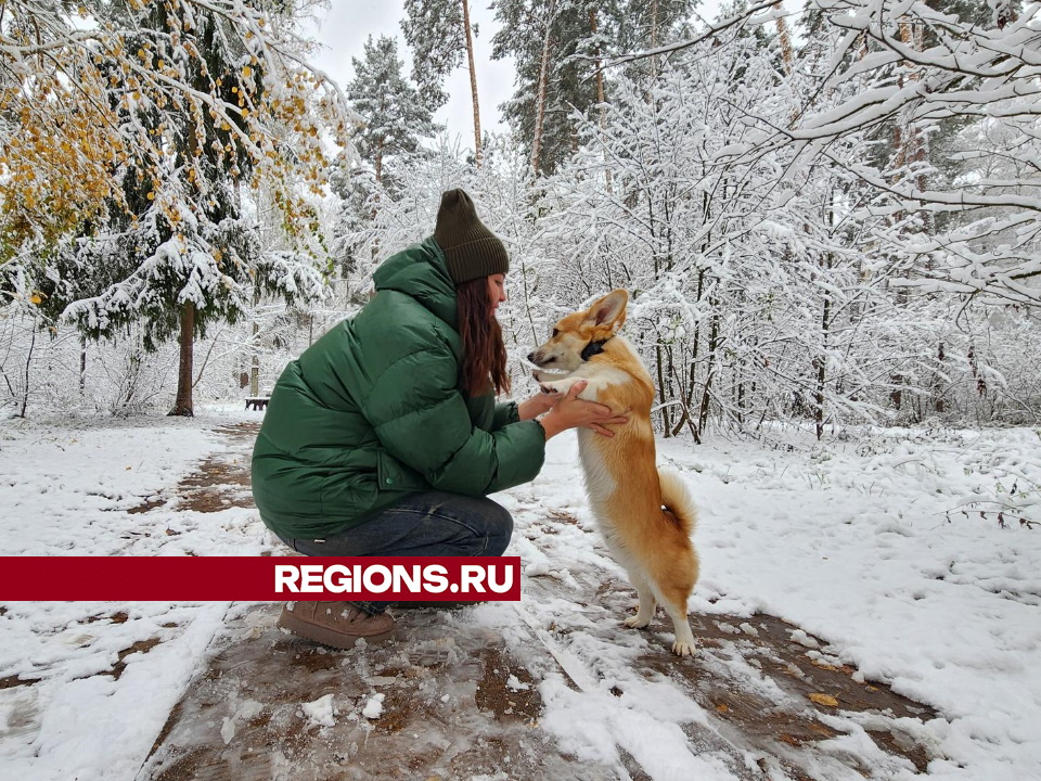 Фото: Анна Мороз