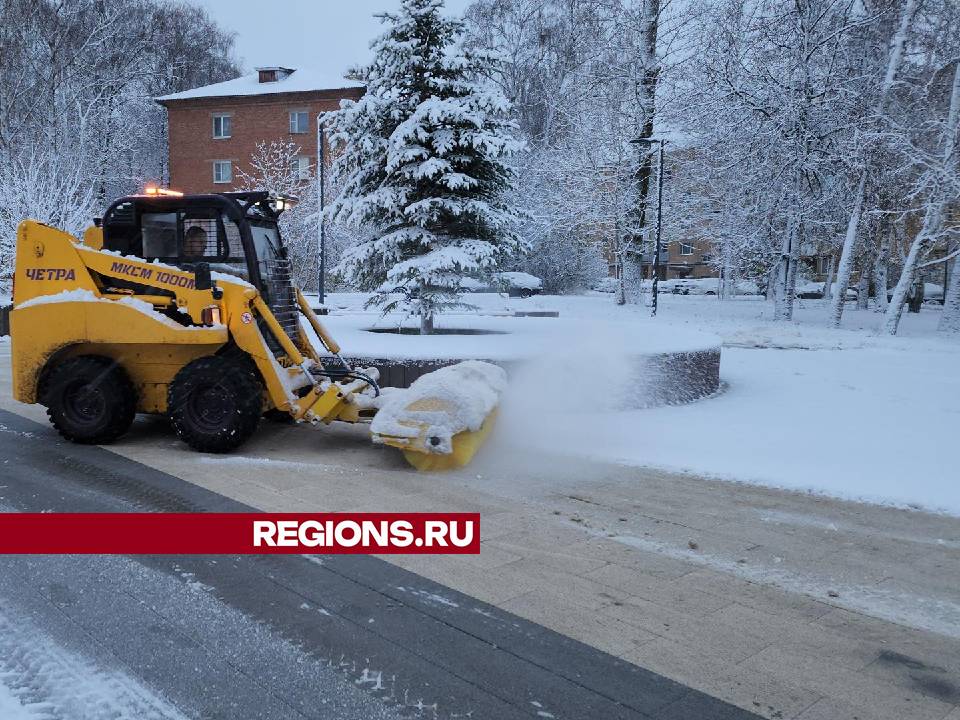 Фото: Дмитрий Беденко