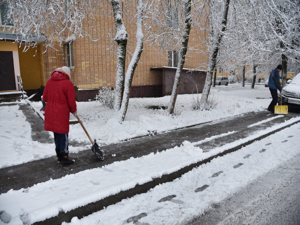 Фото: МедиаБанк Подмосковья/Владимир Останин