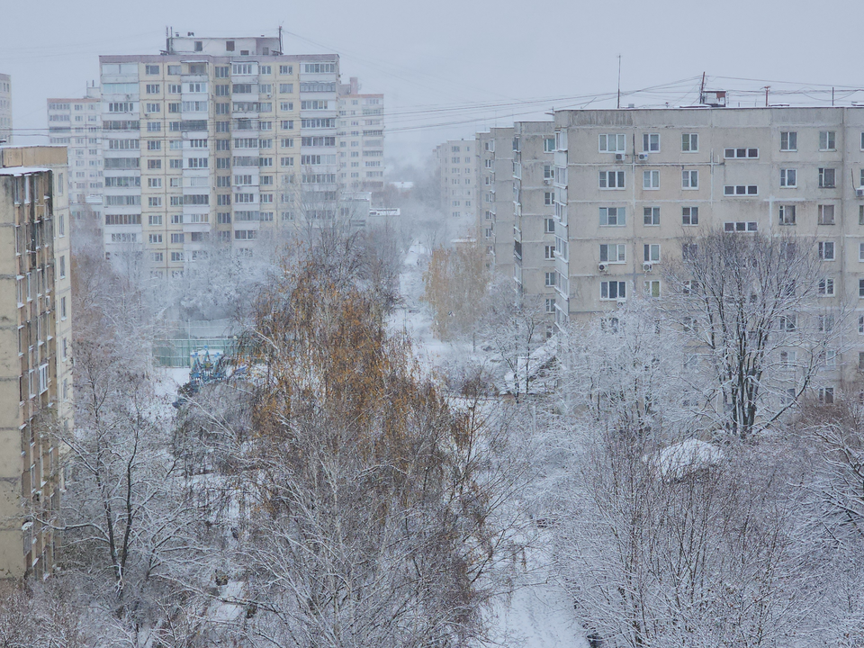 Фото: Артем Мишуков