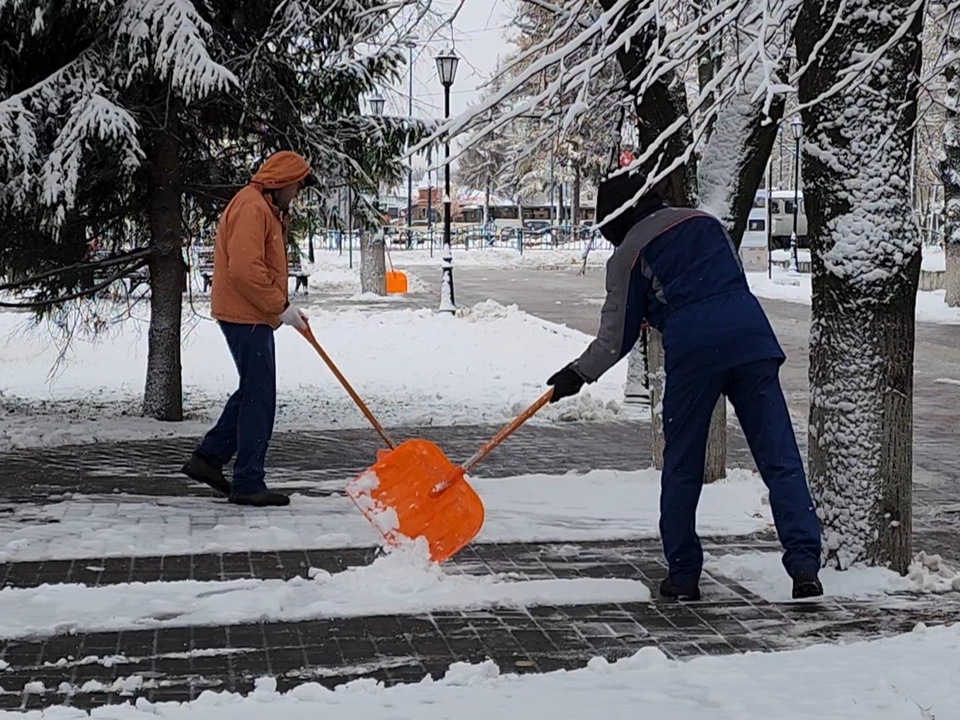 Фото: Ольга Антонова