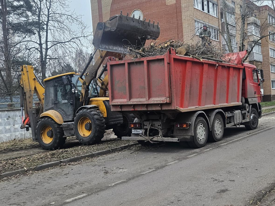 Фото: Ольга Вельшикаева