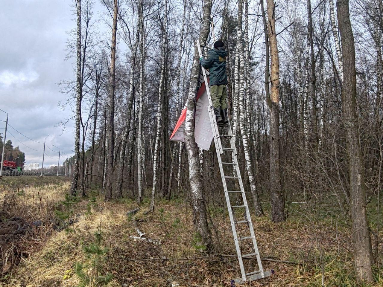 Фото: Комитет лесного хозяйства МО