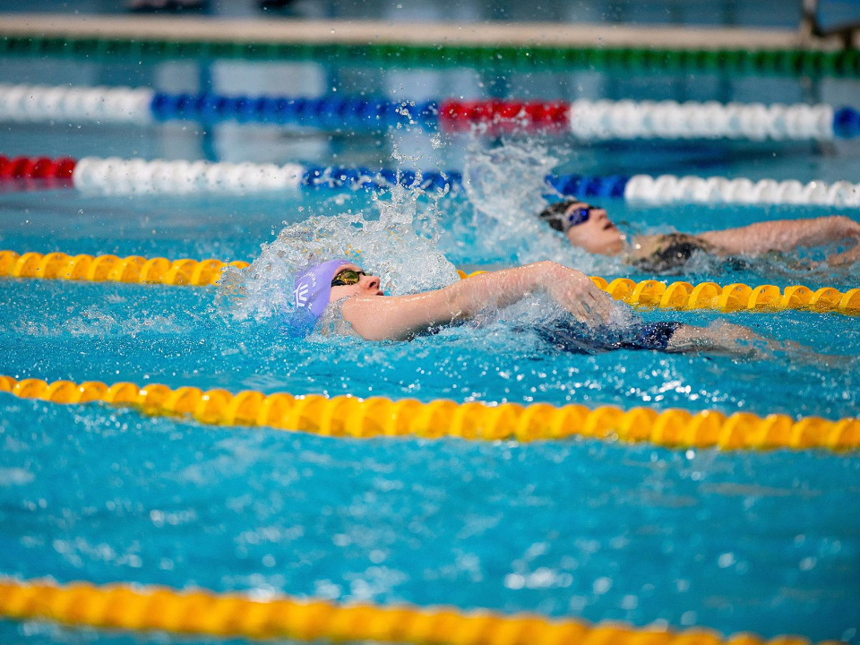 Фото: Кубок чемпионов Swimcup