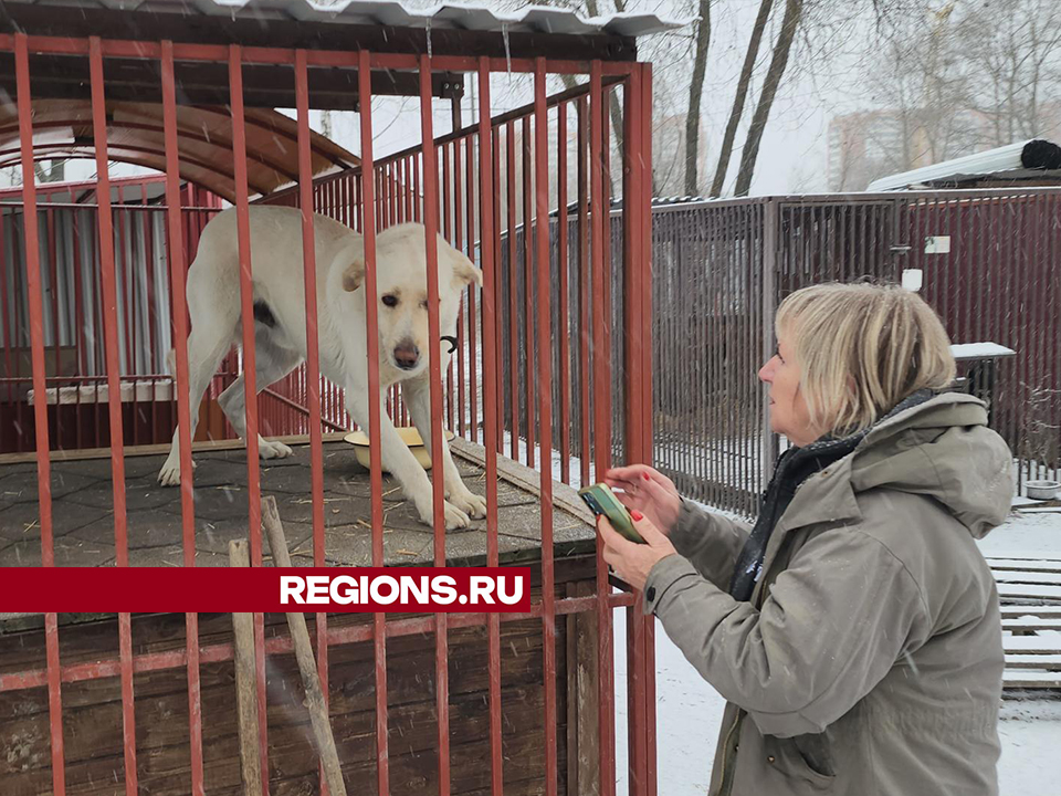 Фото: REGIONS/Валерий Гореловский