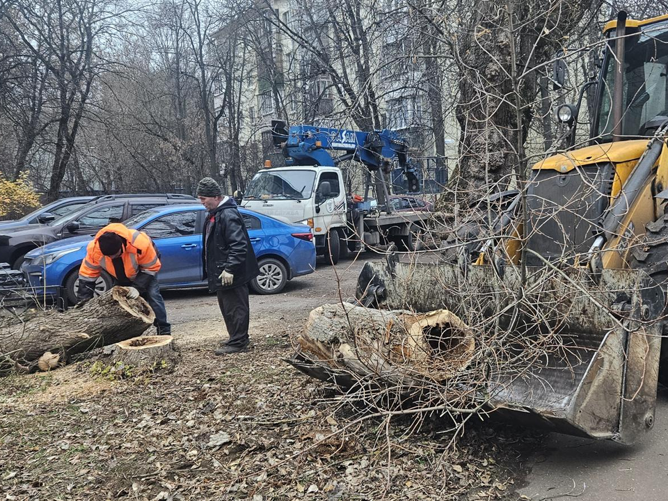 Фото: Ольга Вельшикаева