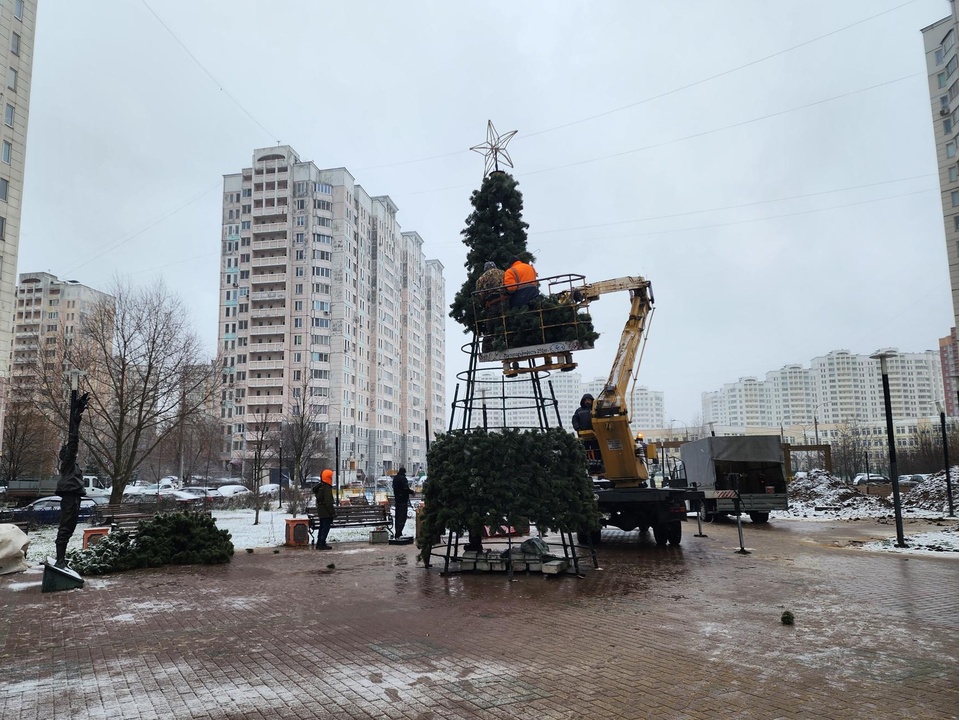 Фото: Мария Андрюхина