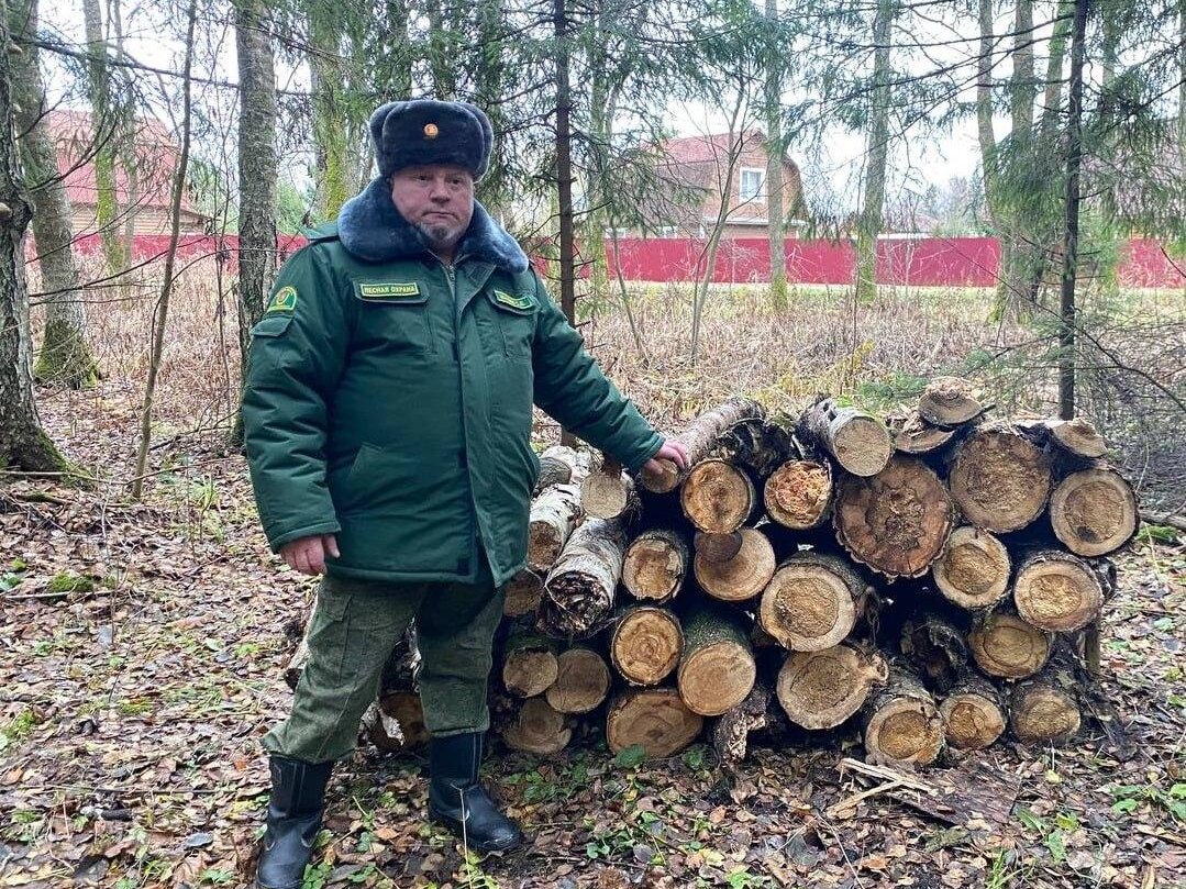 Фото: Комитет лесного хозяйства Московской области