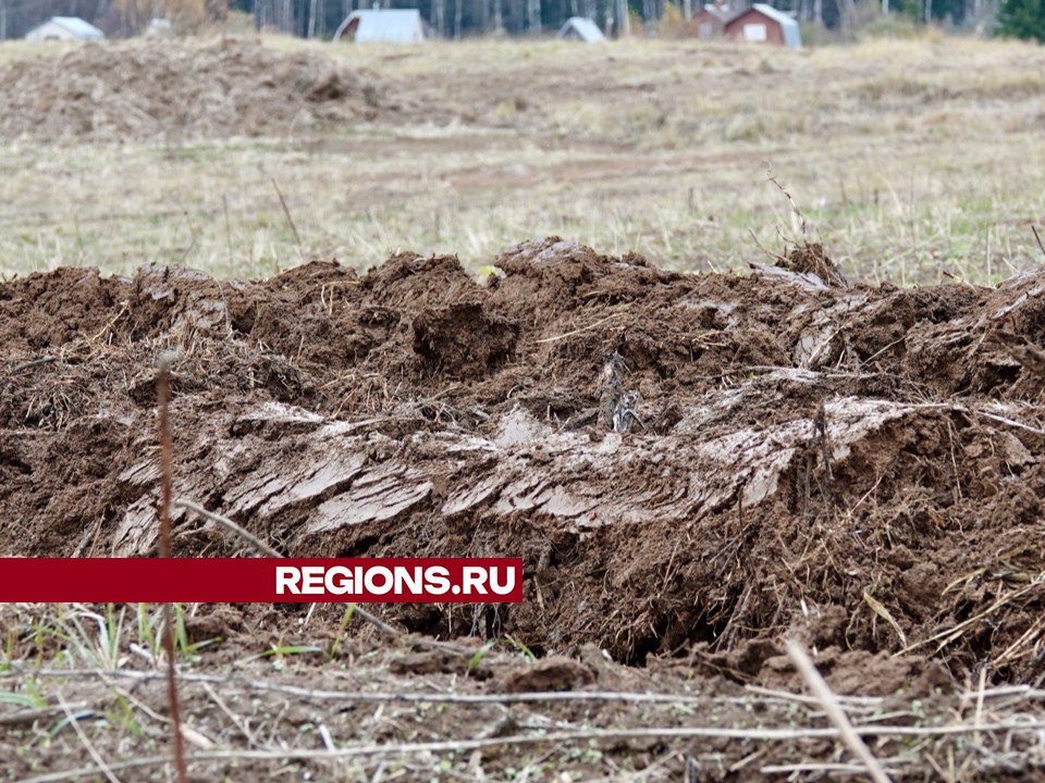 Фото: Дарья Леонова