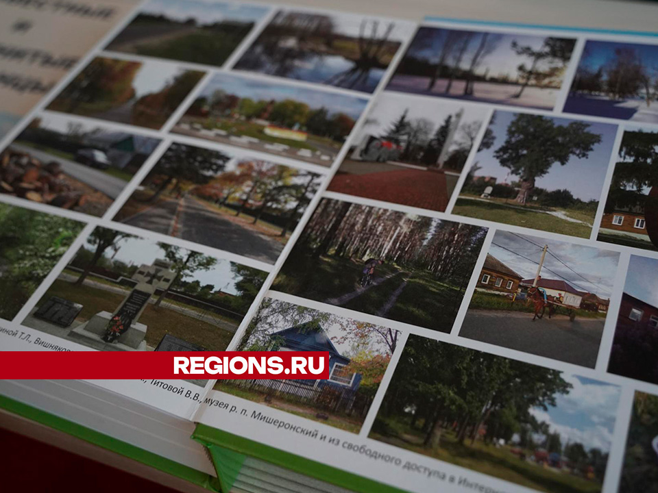 Фото: Анастасия Хренкова 