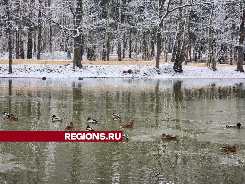 Фото: Никита Сморкалов