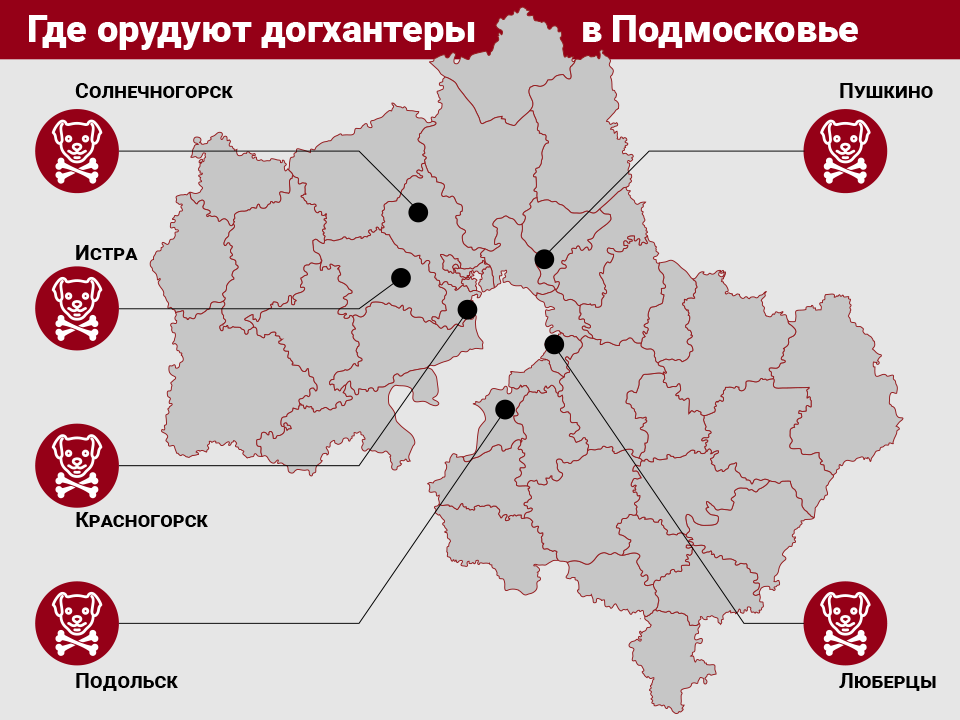 Фото: REGIONS/Андрей Можанов