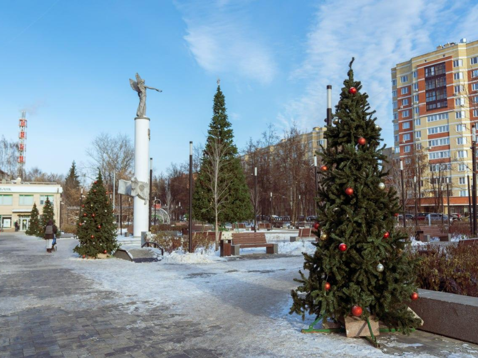 Фото: пресс-служба администрации г. о. Домодедово 