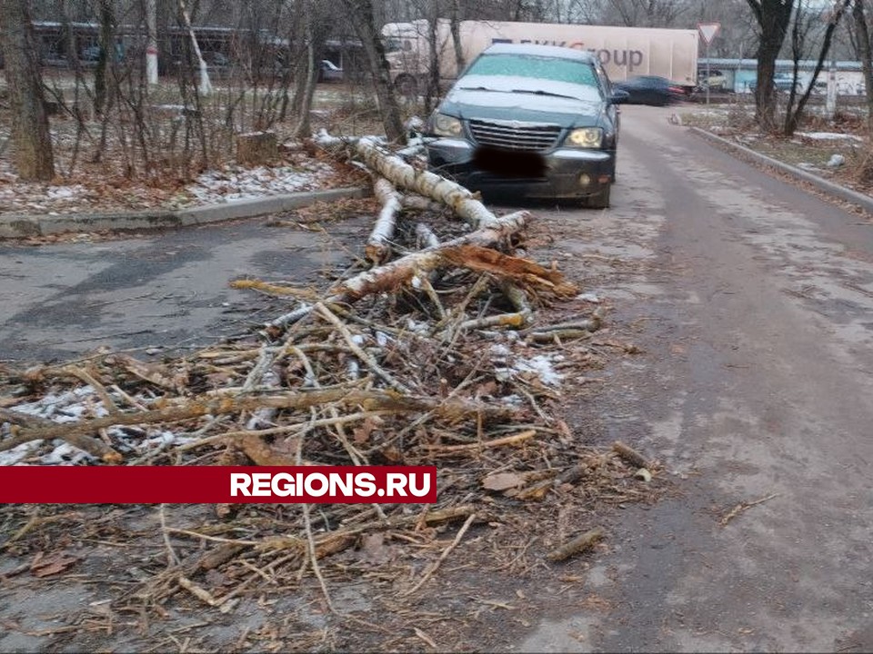 Фото предоставлено жительницей Жуковского