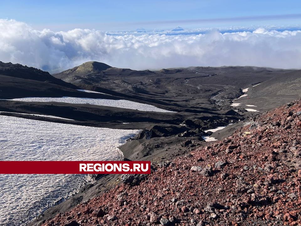 Фото: личный архив Алены Парусовой