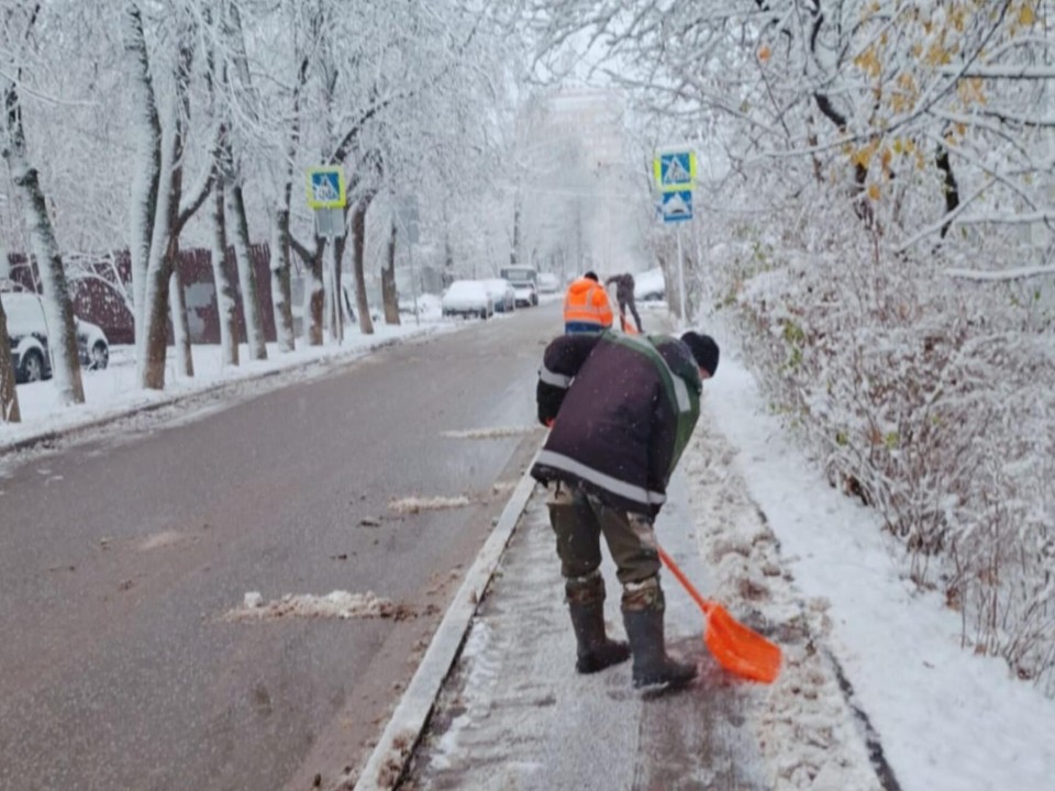 Фото: Хавива Фонина