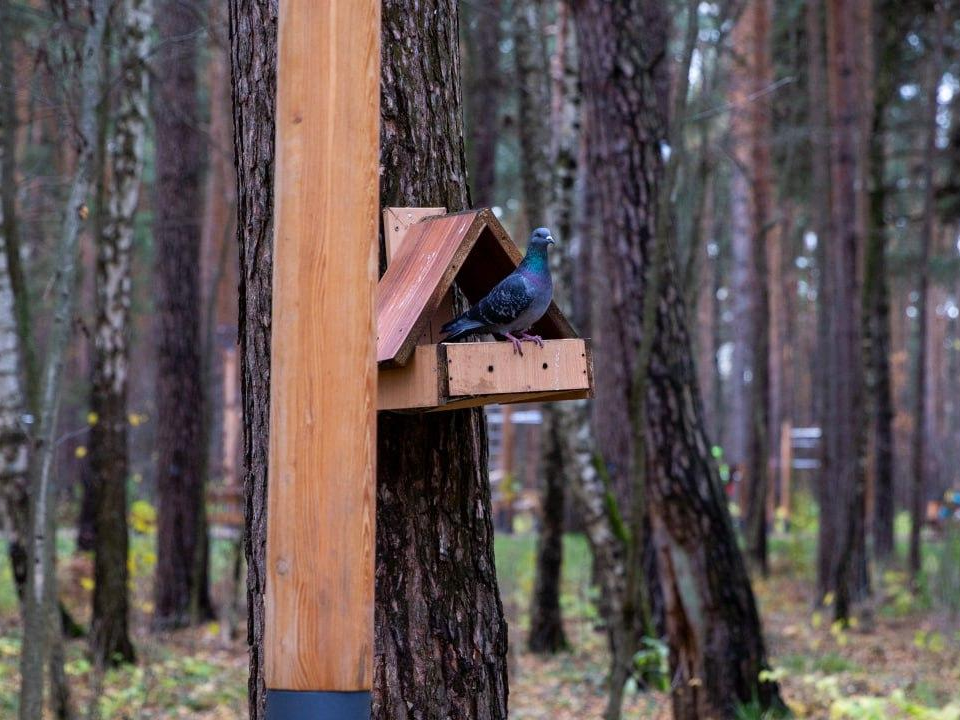 Фото: Администрация городского округа Люберцы