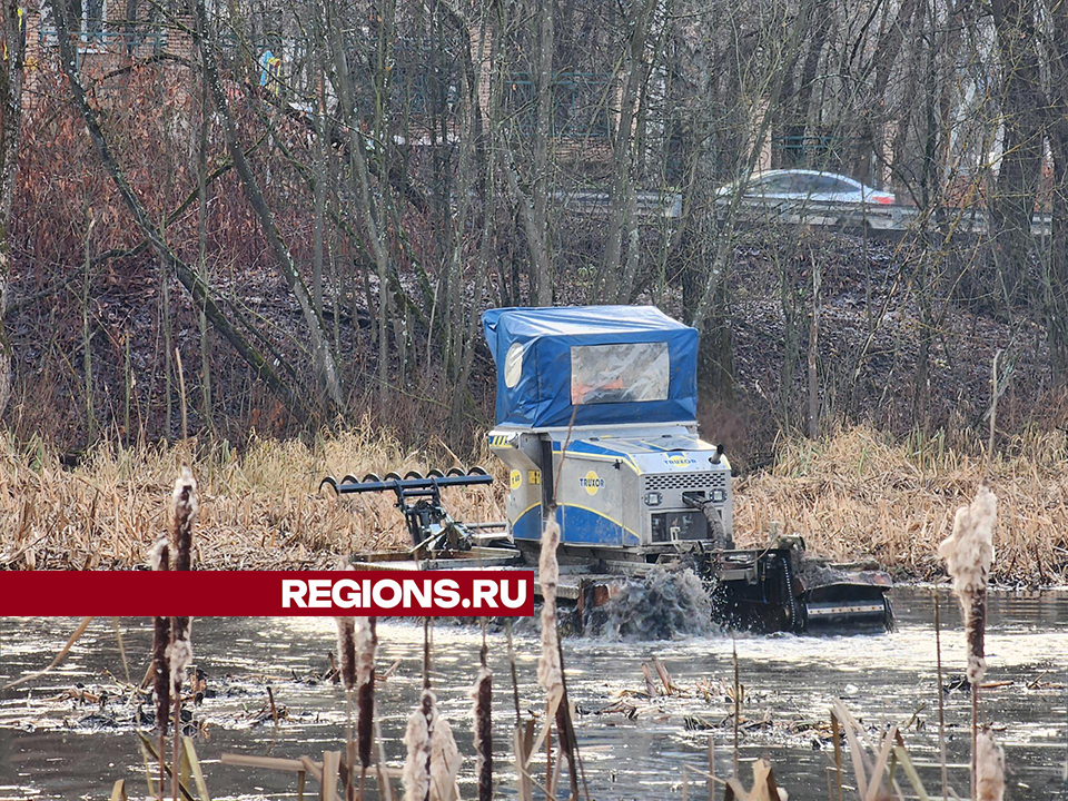 Фото: Роман Савельев