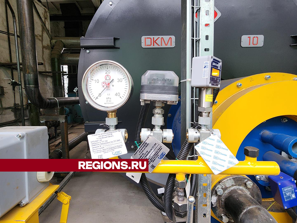 Фото: Ольга Шеметова