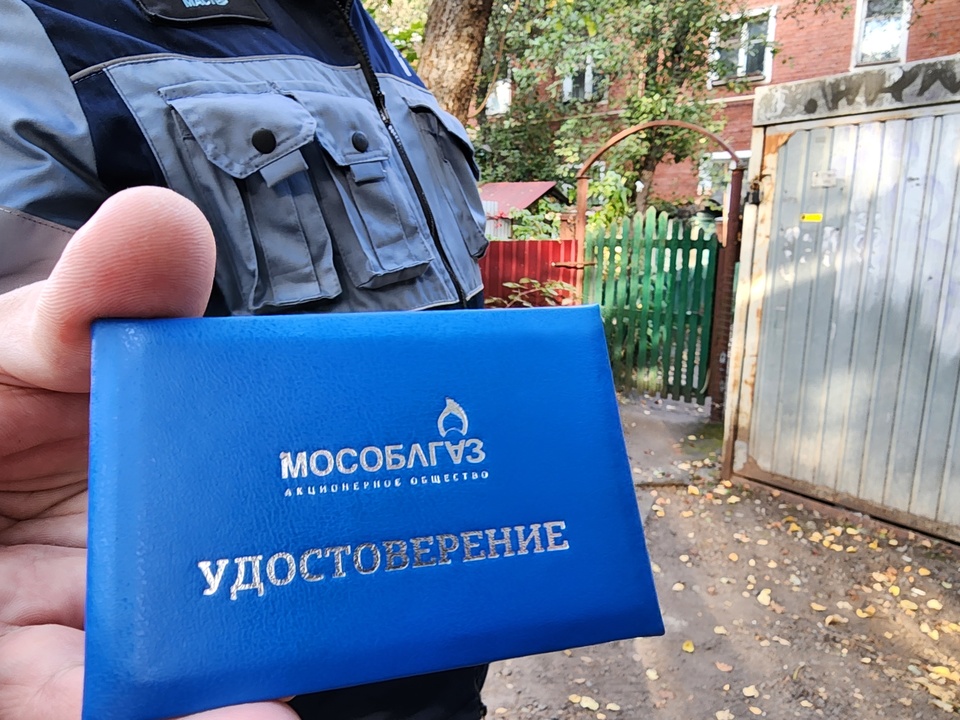 Фото: МедиаБанк Подмосковья/ Никита Сморкалов