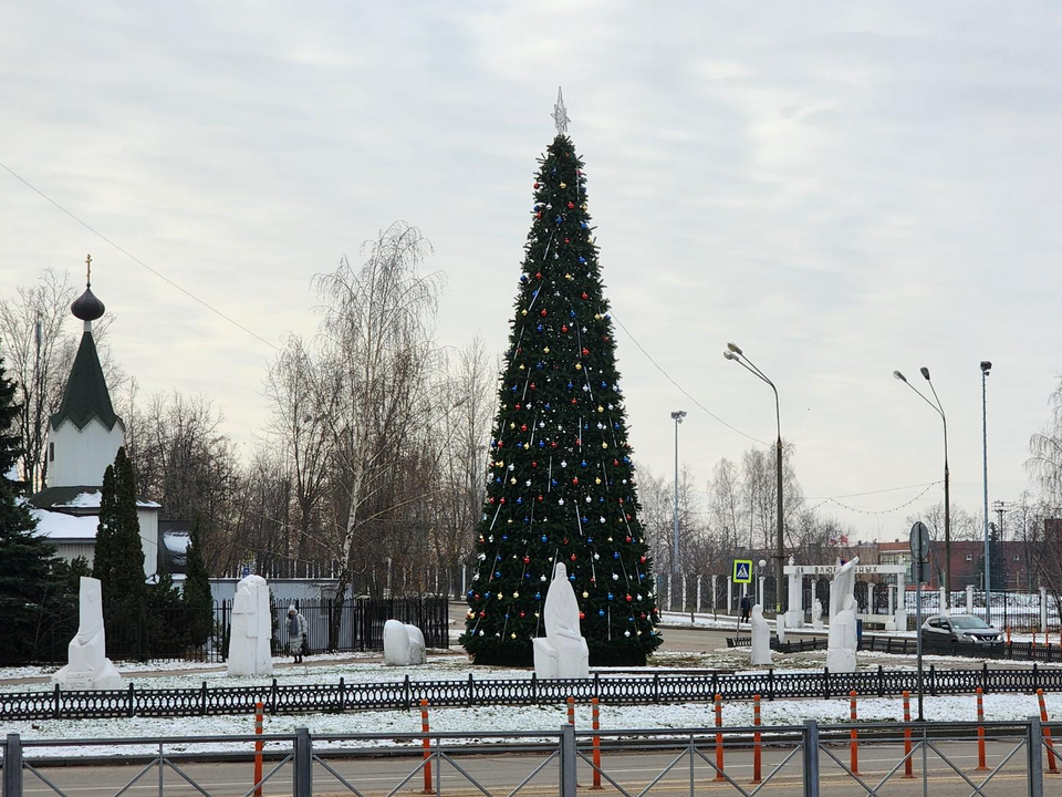 Фото: Мария Юдина