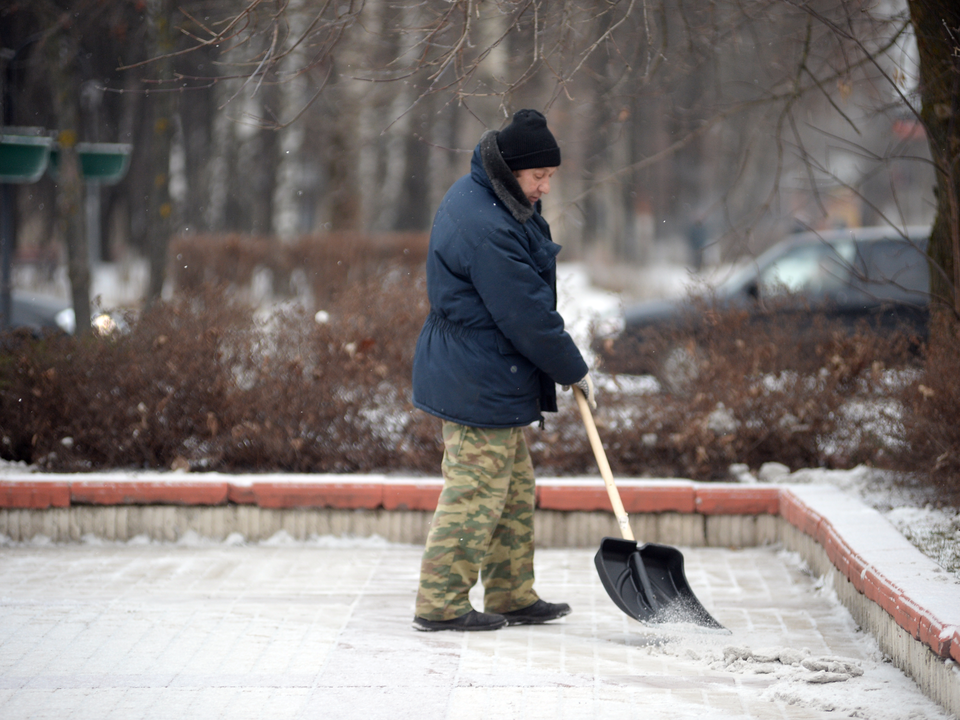 Фото: медиасток.рф