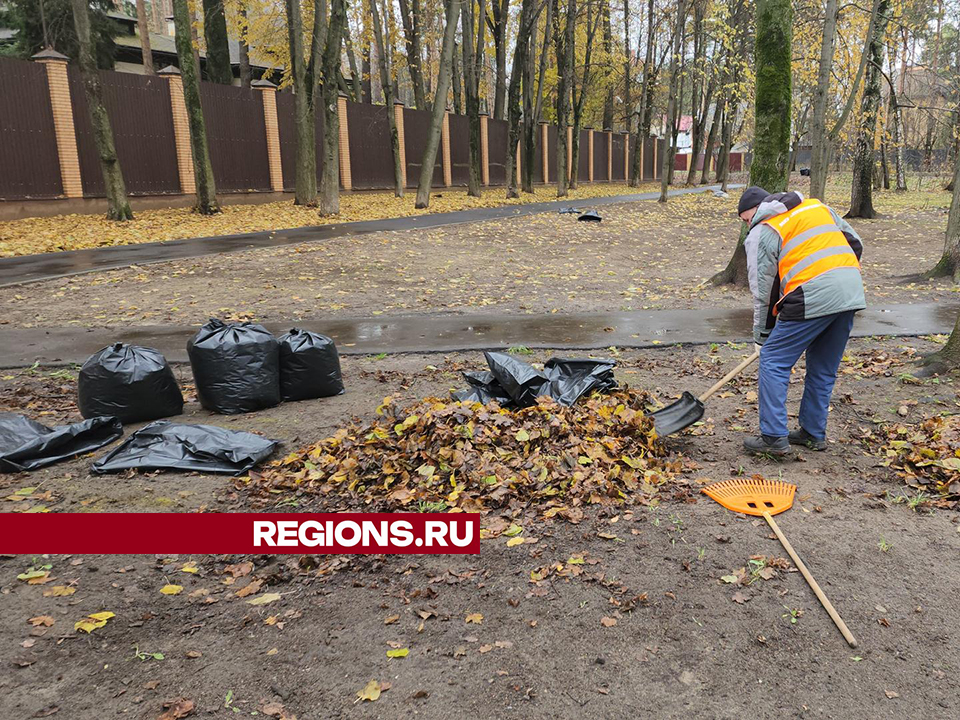 Фото: Ольга Шеметова