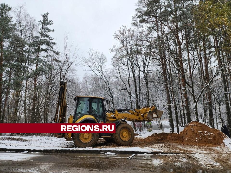 Фото: Никита Сморкалов