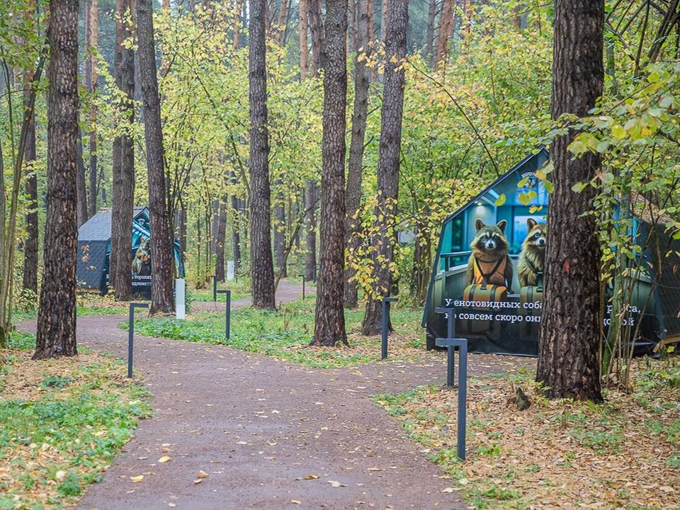 Фото: пресс-служба администрации Одинцовского городского округа