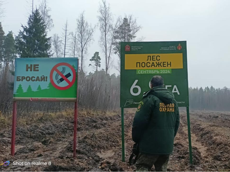 Фото: Комитет лесного хозяйства МО