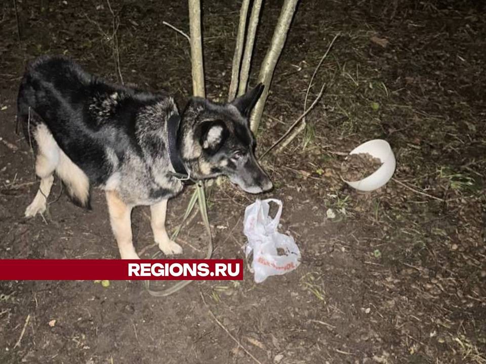 Фото: личный архив Вероники Кравцовой