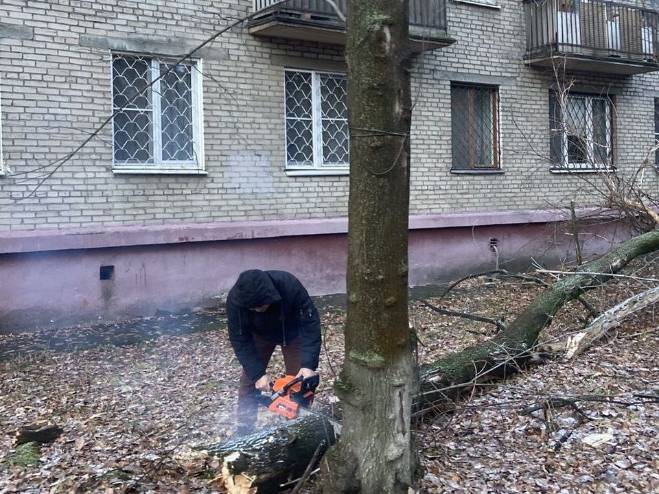 Фото: администрация городского округа Люберцы