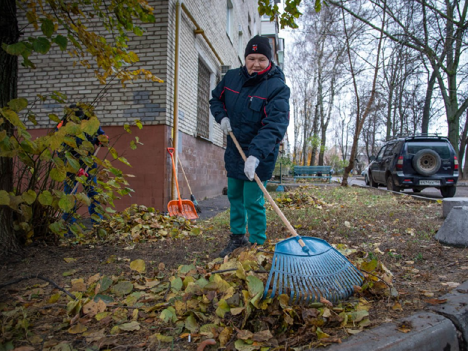 Фото: ООО «ДГХ»