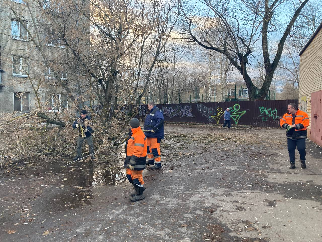 Фото: МЦУР Жуковский