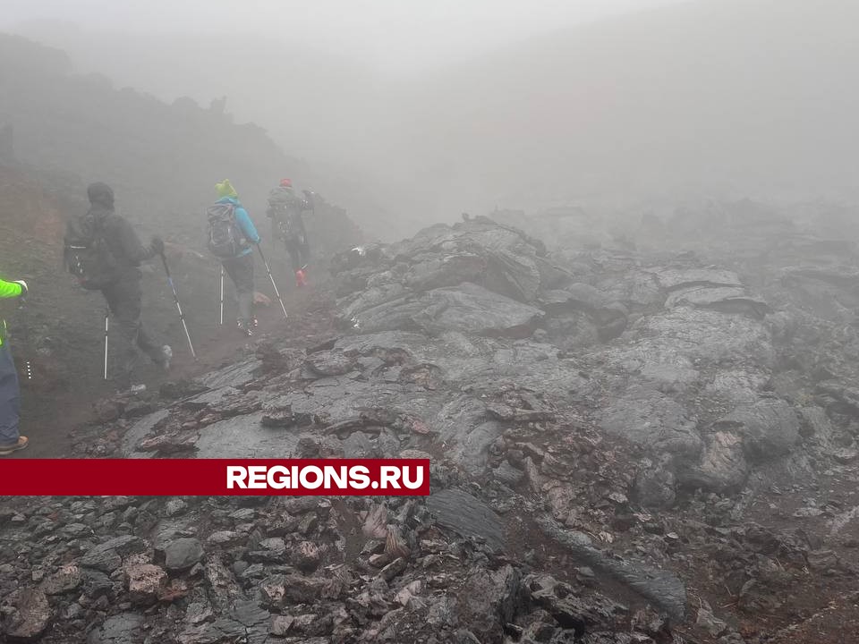 Фото: личный архив Алены Парусовой