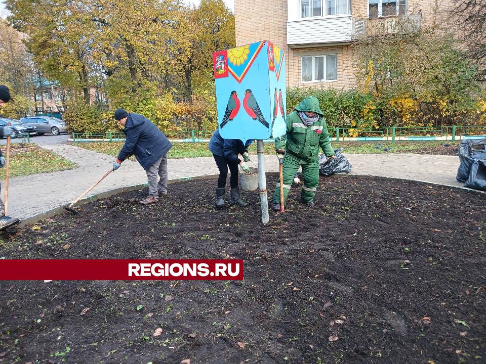 Фото: Морозова Екатерина