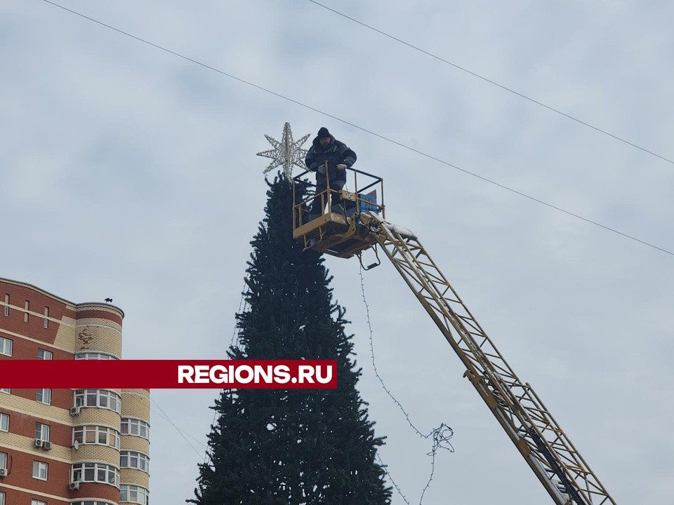 Фото: Ольга Шеметова